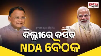NDA