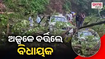 Chitrakonda MLA Mangu Khila Escapes Major Accident After Tree Falls on Vehicle