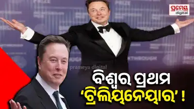 Elon Musk net worth
