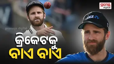 Kane Williamson Retires from International Cricket, Fans and Cricket World React