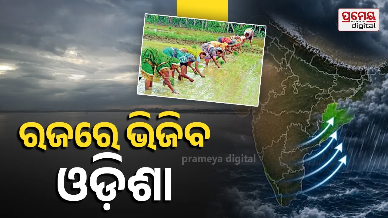 Monsoon Active