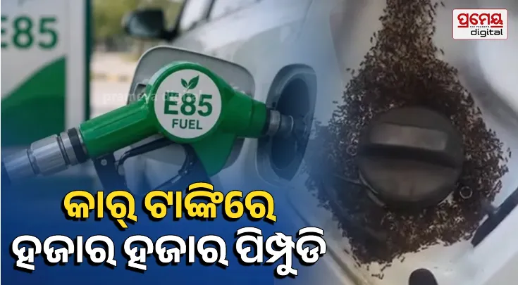 Viral E85 Fuel Clip Explained: The Truth Behind Ants Gathering Near the Fuel Cap
