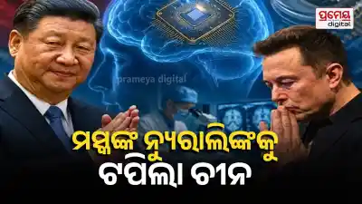 brain chip