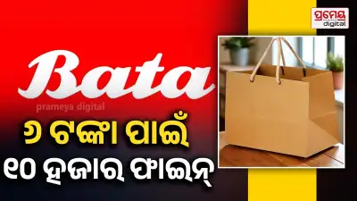 Bata ₹6 carry bag case