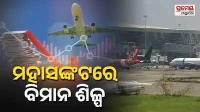 Airlines losses India
