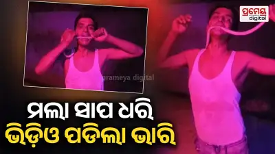Man hospitalised after putting dead snake in mouth