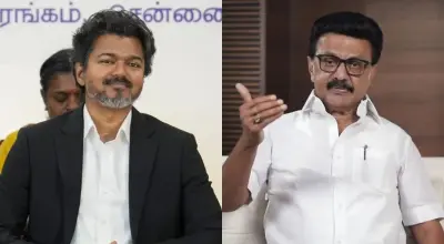 M.K. Stalin statement on  Vijay Government 