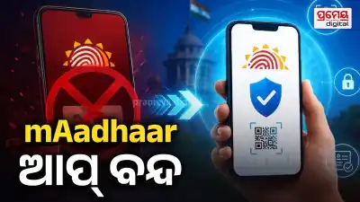 Aadhaar Users Alert: Old mAadhaar App Retired, New App Offers Better Security and Features