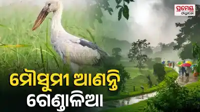 World Environment Day