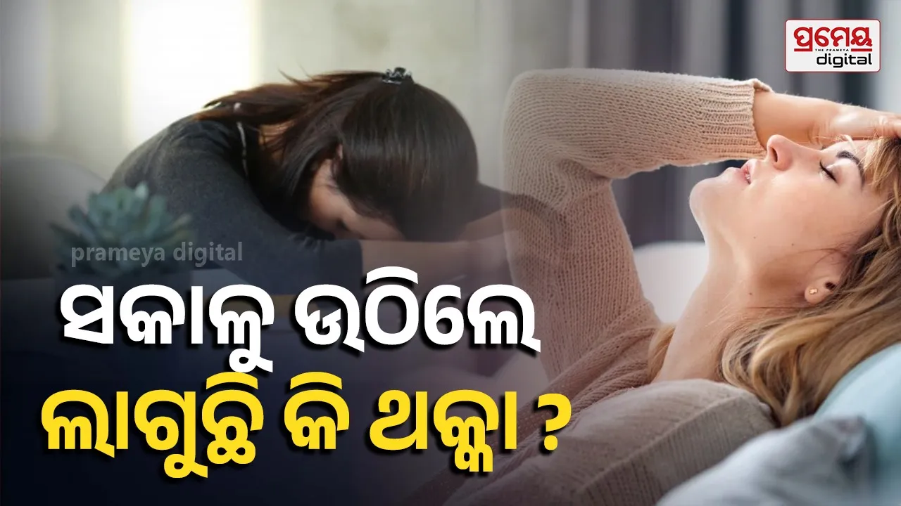 Feeling Tired All the Time? Dimple Jangda Reveals the Eating Habit Behind It