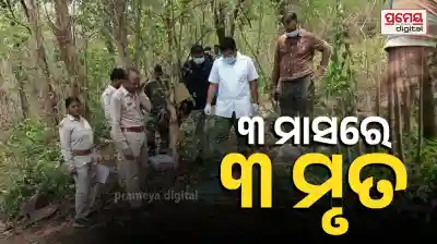Mystery Surrounds Discovery of Elephant Calf Skeleton in Paichaliya Forest