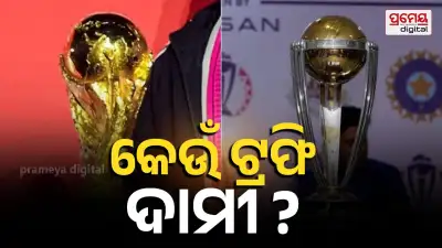 FIFA World Cup Trophy vs ODI World Cup Trophy: Which Is More Expensive? Know the Price in INR