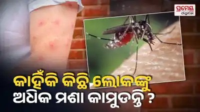 mosquito bite