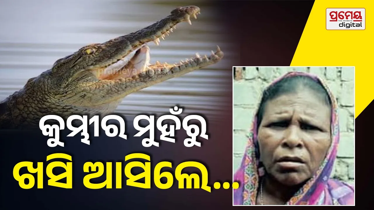 Woman survives crocodile attack