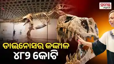 dinosaur skeleton