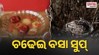 Bird Nest Soup