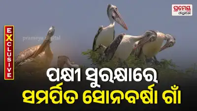 Bird conservation