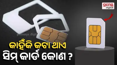 sim card