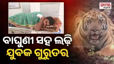 Kuldiha Sanctuary: Youth Injured in Tigress Yamuna Attack