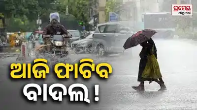 rain  