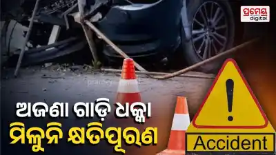 Hit-and-run victims