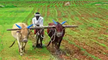 odisha