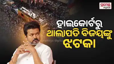 Madras High Court Verdict: Vijay TVK's Employment Offer to Karur Stampede Families Cancelled