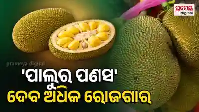 Jackfruit Day