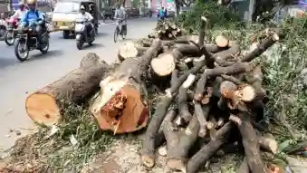 odisha 