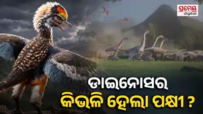 Dinosaur-to-Bird Evolution Explained? Zhengheornis Buyu Fossil Offers New Clues