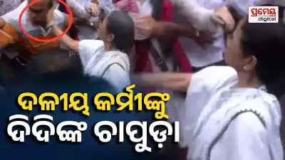 Mamata Banerjee Slaps TMC Worker During Baruipur Protest, Sparks Political Buzz