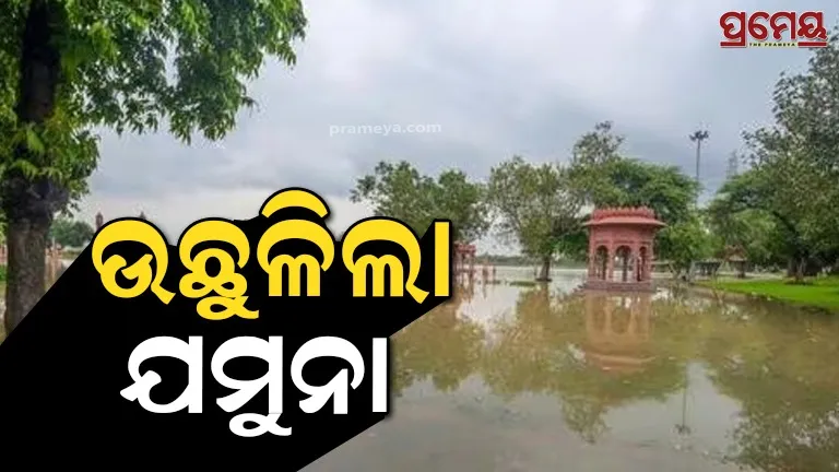 Yamuna, punjab flood