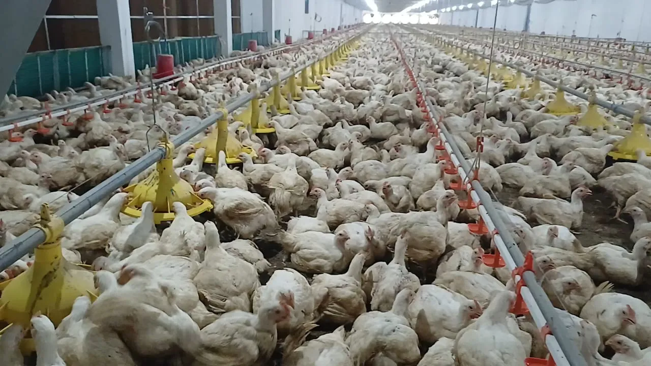 farms