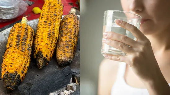 corn 