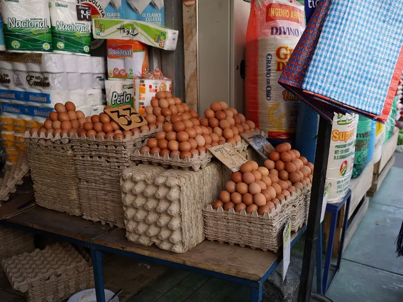 egg