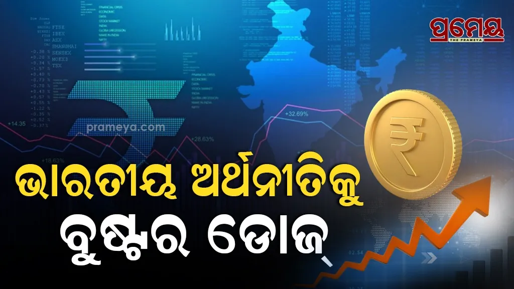 indian economy