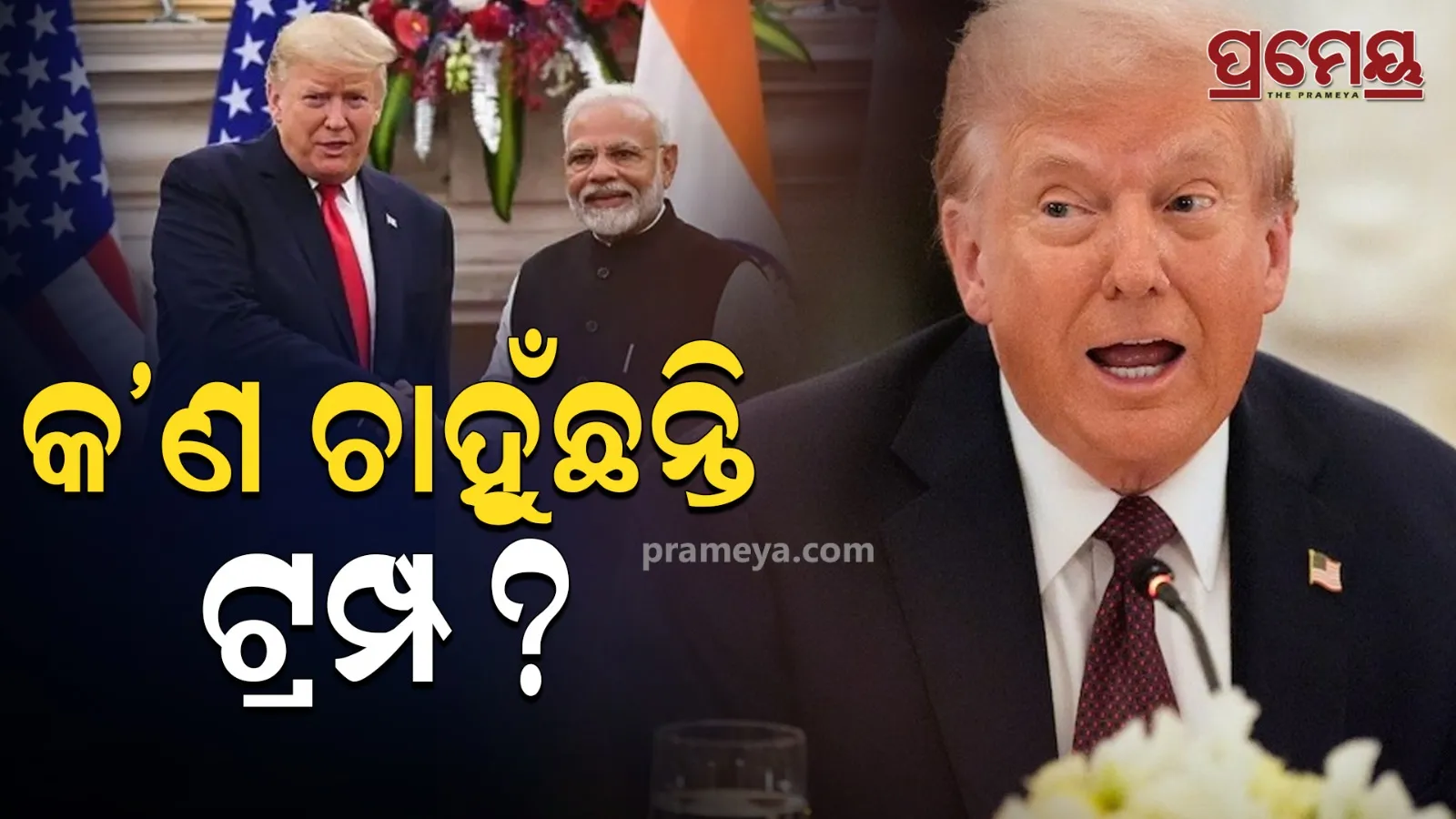 Trump asks EU to put 100% tariffs on Indi