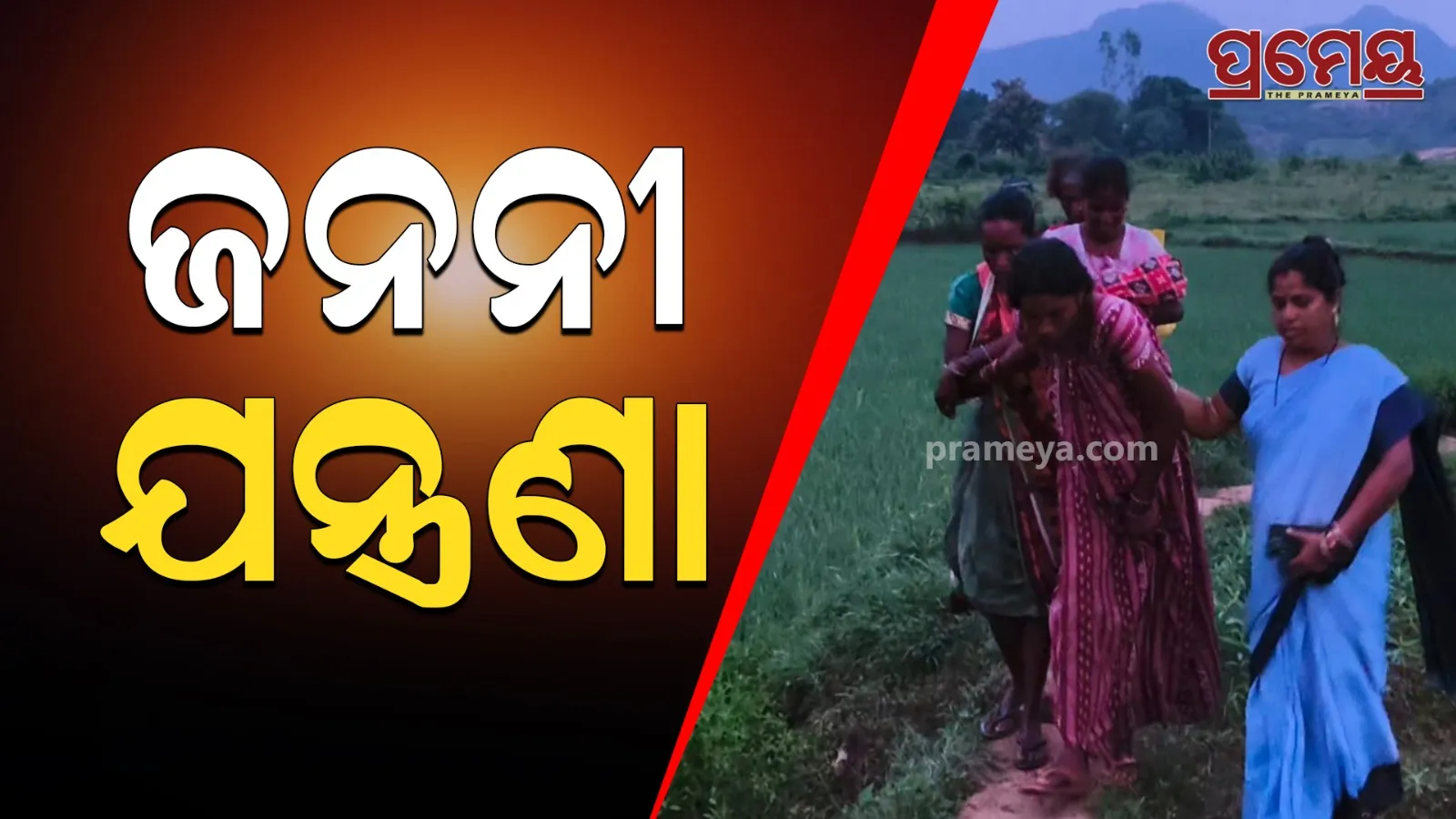 rayagada