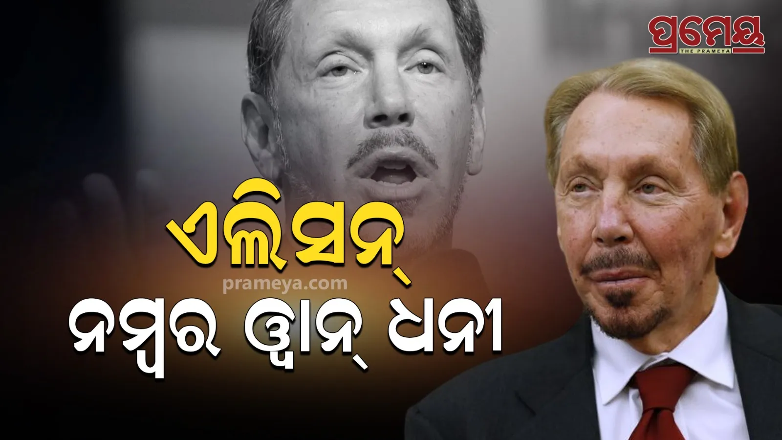 larry ellison