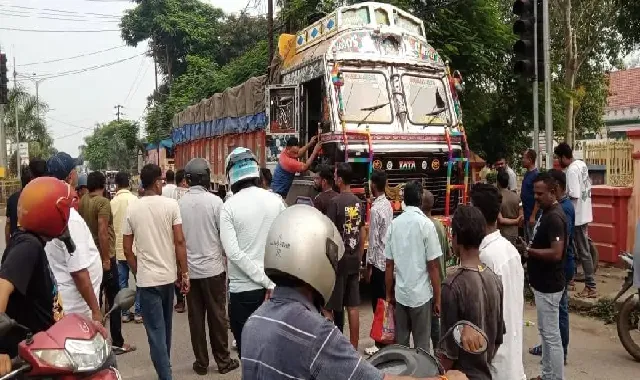 Cow herder stops container 