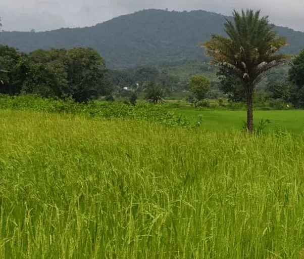  ​​Lanjigarh 