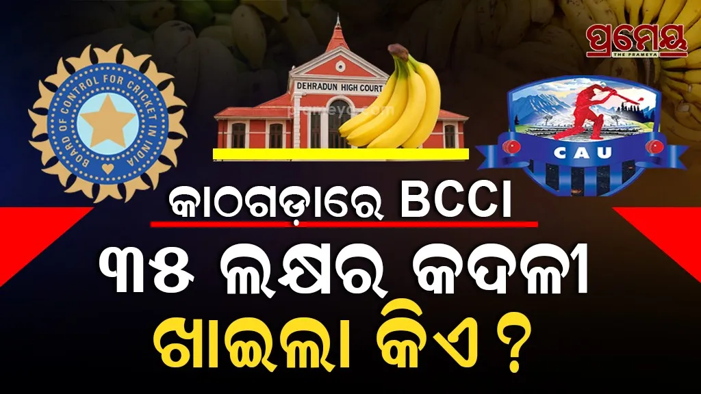 Banana Corruption in Cricket 
