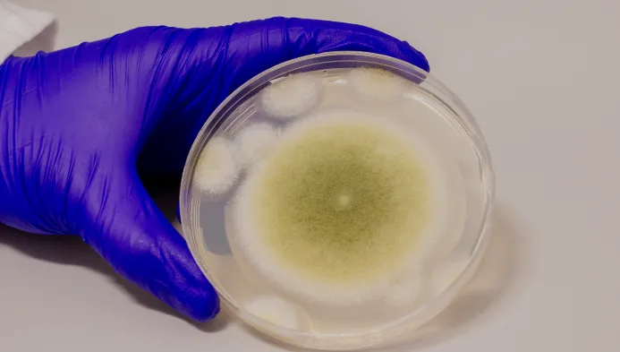 'Russian nesting doll' virus