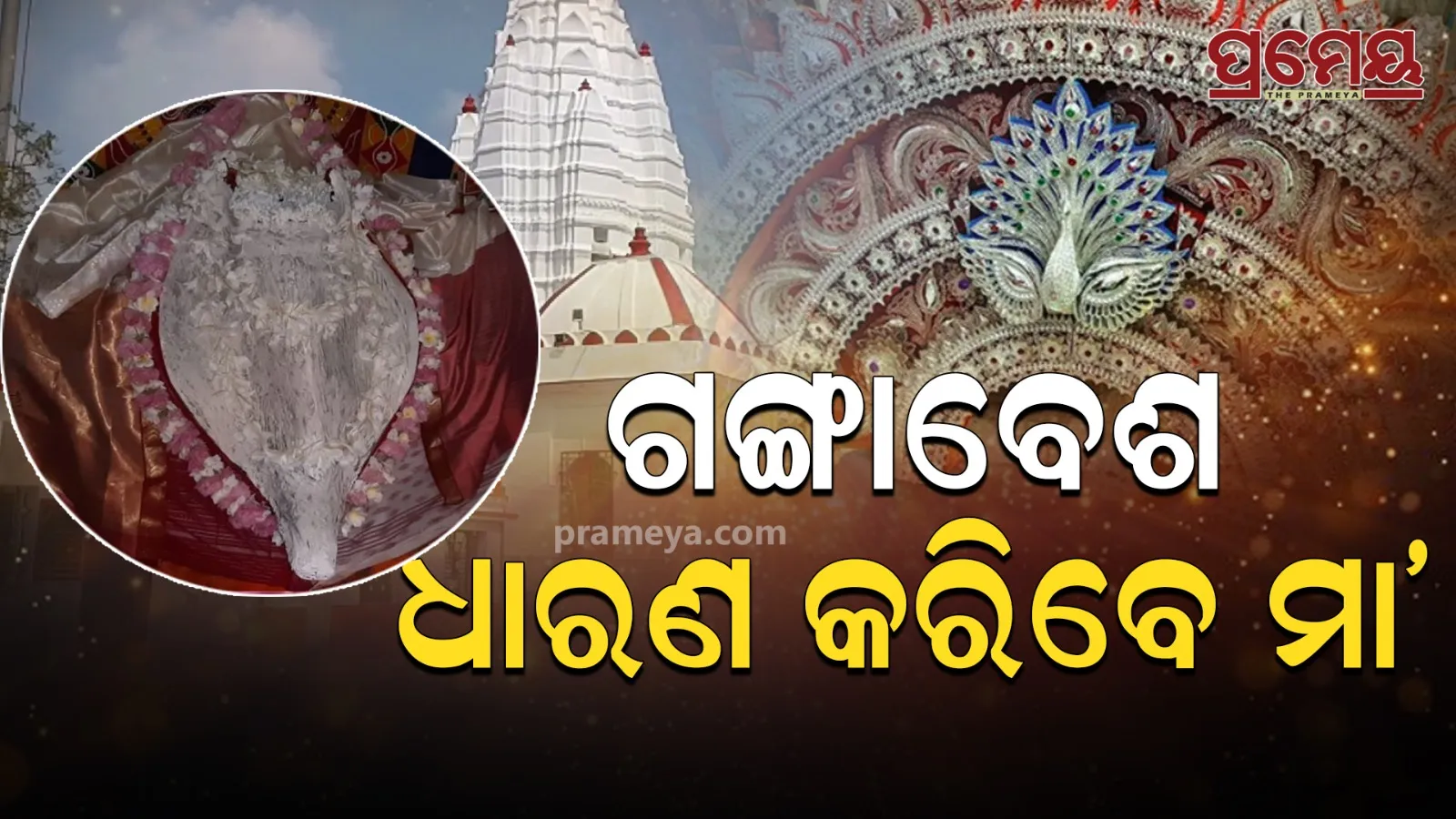 dhabalamukhi 