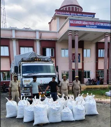 malkangir