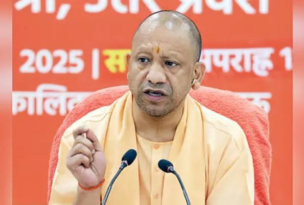 yogi
