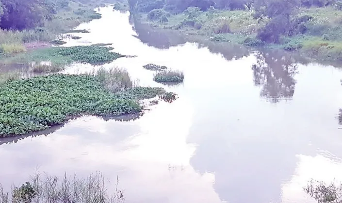 River utilization mission fails in Puri