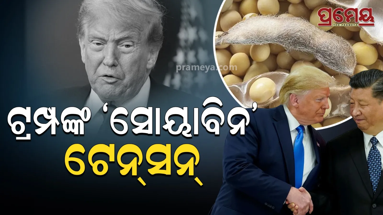 Trump big headache soyabean