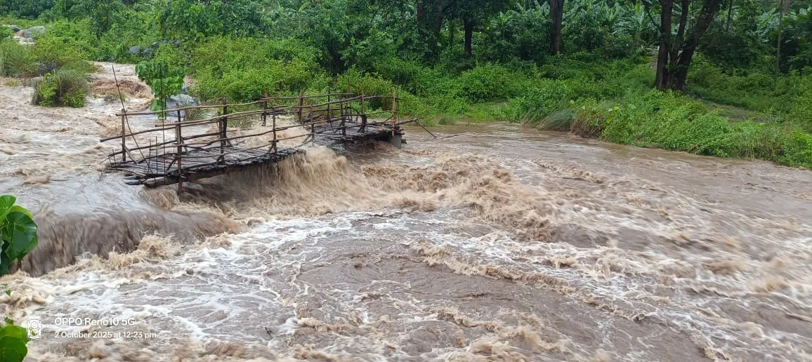 Heavy rains 