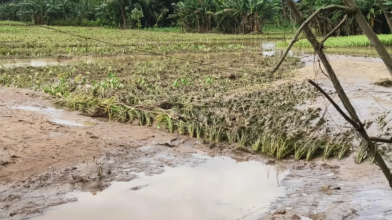 Floodwaters hit Rusikulya